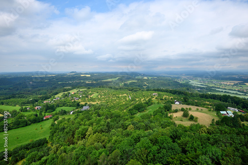 Fototapeta Naklejka Na Ścianę i Meble -  Green landscape with trees and scattered houses