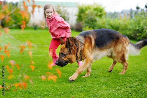 Happy little girl playing with a big dog © MNStudio