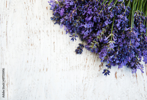 lavender flowers