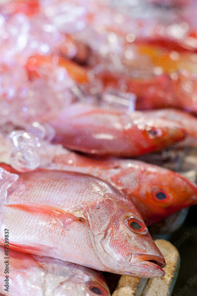 Fresh seafood in asian market