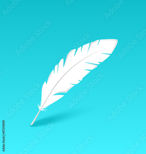 White feather isolated on blue background