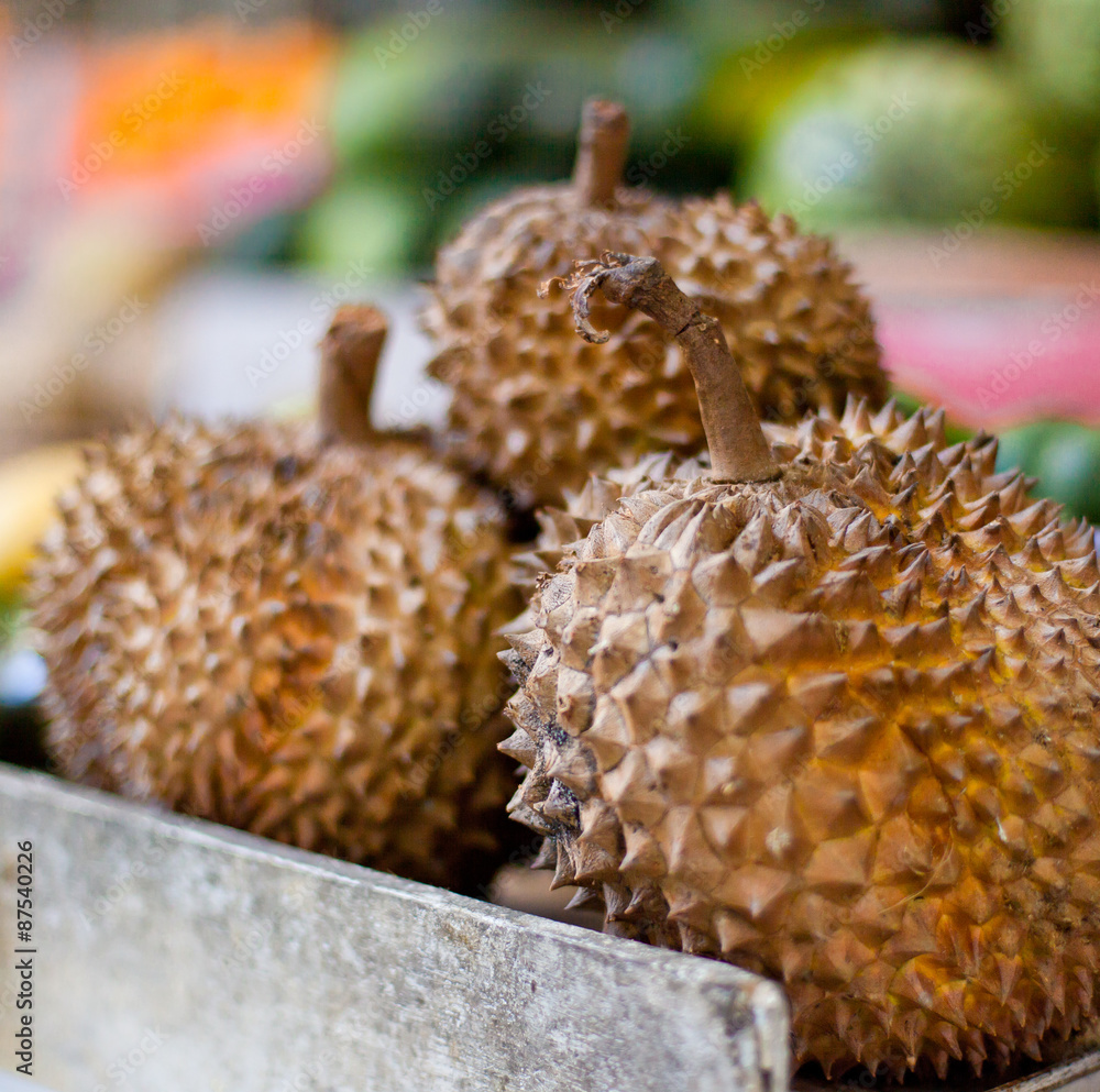 Fototapeta premium Durian