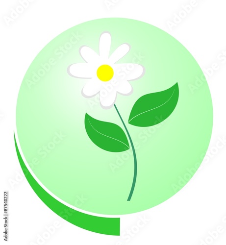Eco green button
