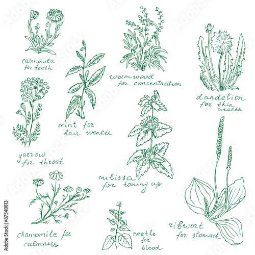 Herbal Set