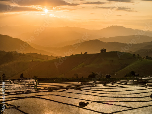 Rice Terraces