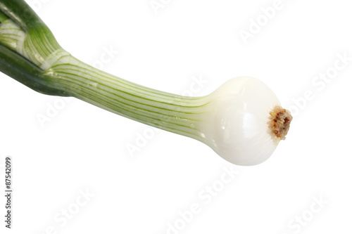  Onion on a isolated white background 