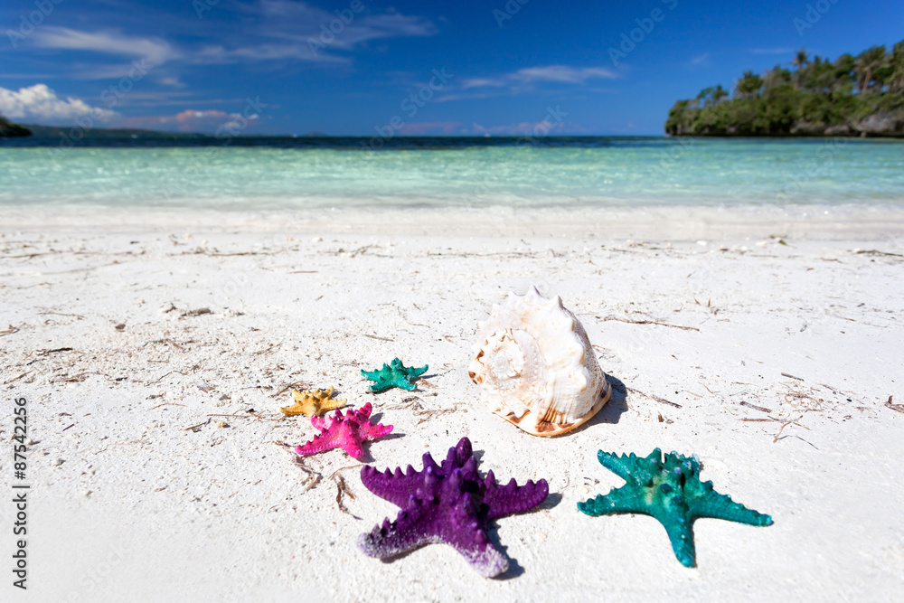 Starfishes in tropic paradise. Travel Vacation concept Starfishes in tropic paradise. Travel Vacation concept