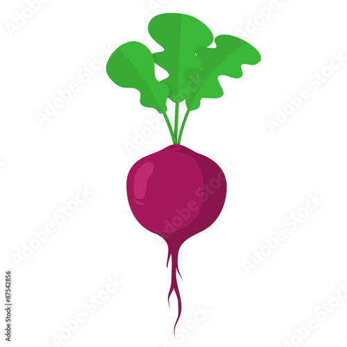 Beet vegetable.