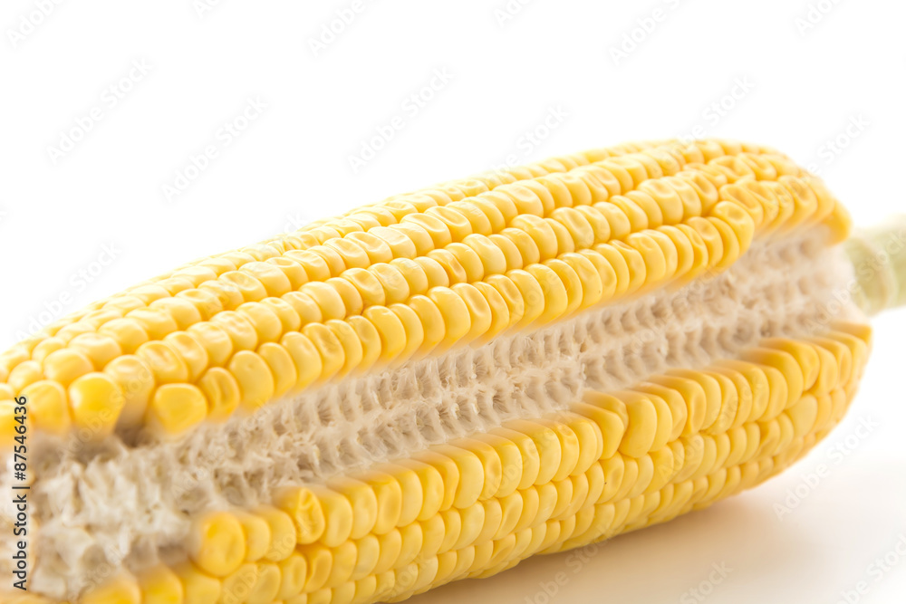 ears of corn ears of corn