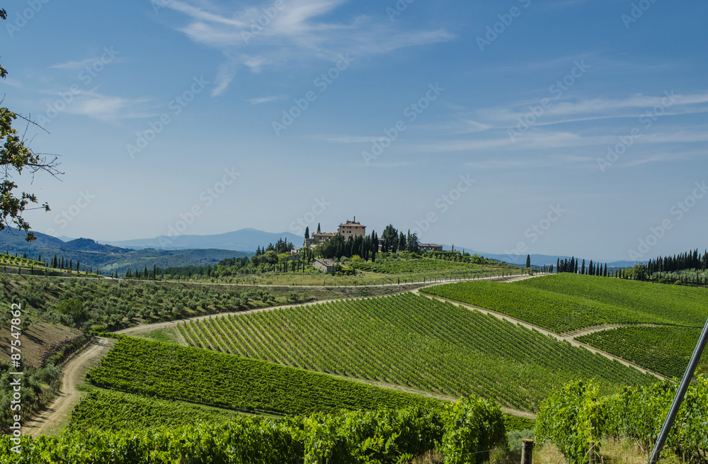 Chianti Tuscan vineyards
