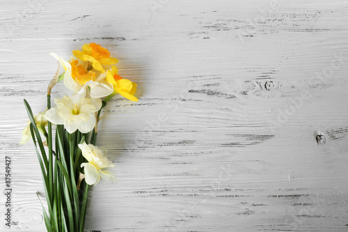 Obraz na plátně Fresh narcissus flowers on wooden background