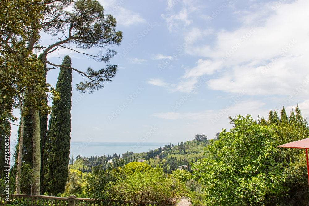 Fototapeta premium Coastline with blue sky