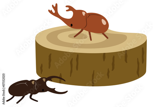 昆虫採集　カブトムシ　クワガタ