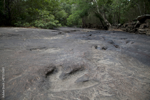 dinosaur footprints