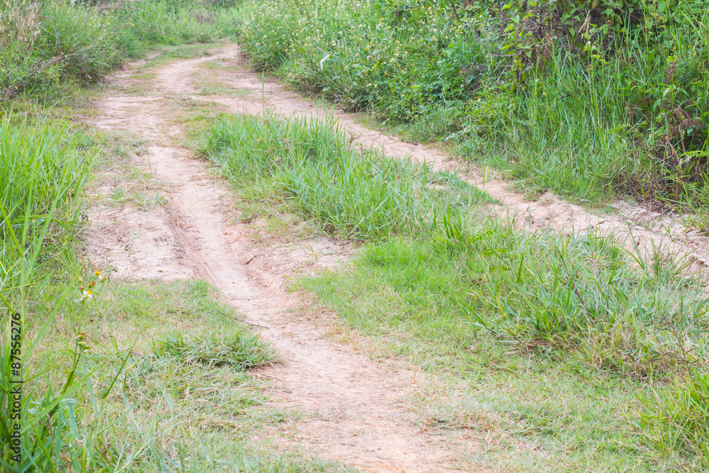 Country road with a old border directing to far Country road with a old border directing to far