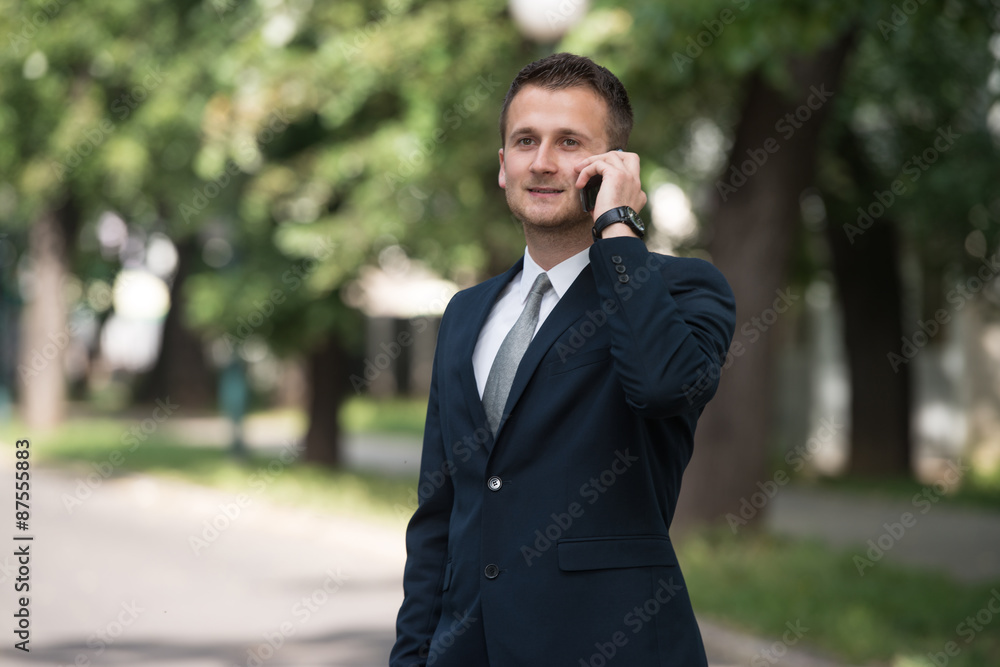 Young Businessman On The Phone Outdoors In Park Young Businessman On The Phone Outdoors In Park
