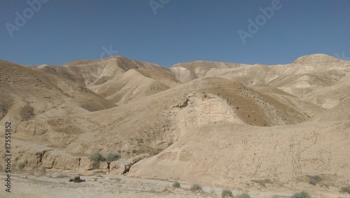  The Israeli Desert in Early Summer 