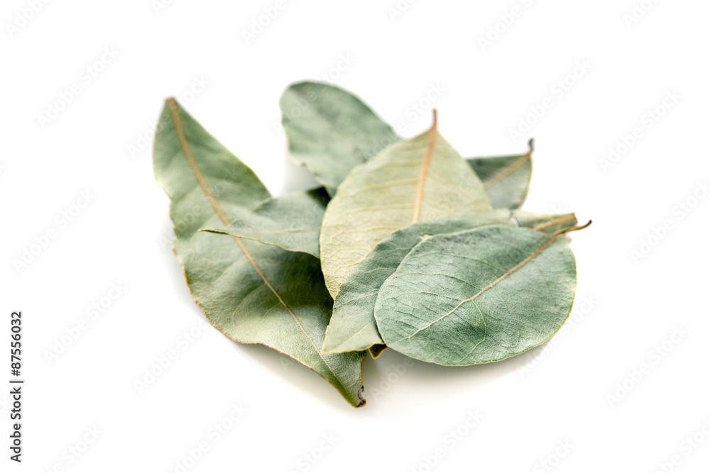 Bay leaf. Bay leaf.