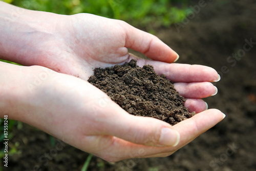 Handful of black soil above ground