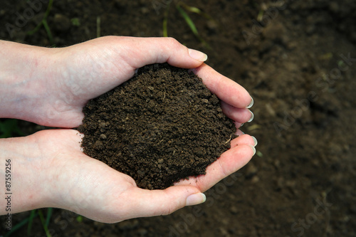 Handful of black soil above ground