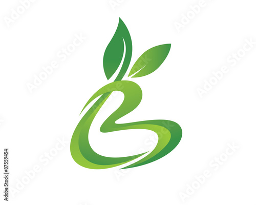 B letter for Green Lawncare