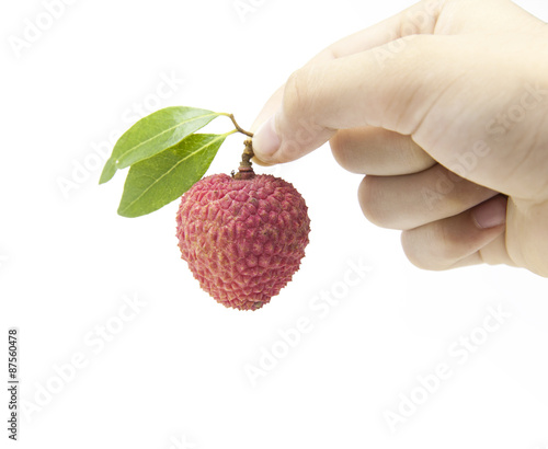 fresh lychees on white background photo