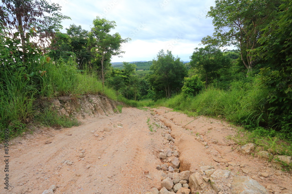 Fototapeta premium The off road