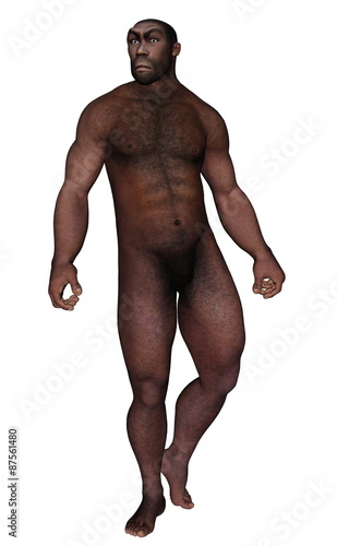 Male homo erectus looking aside - 3D render