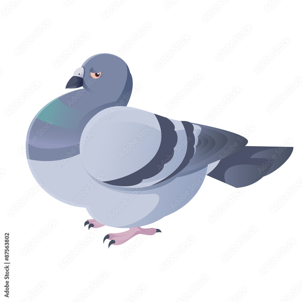Pigeon Pigeon