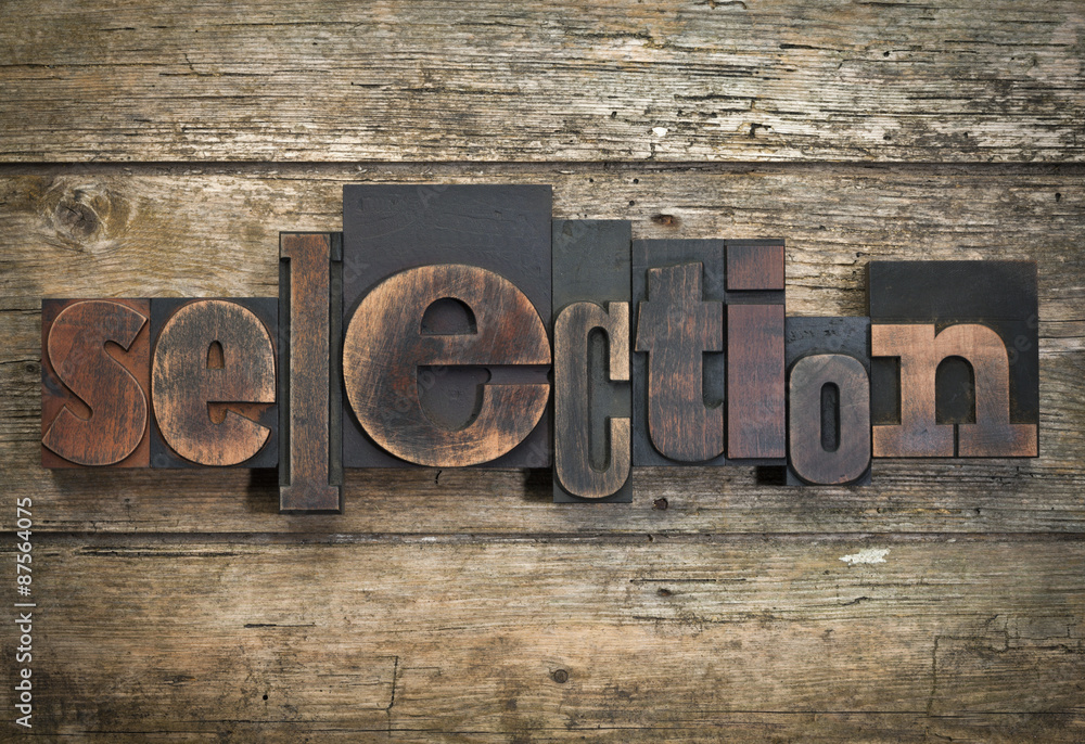 Fototapeta premium selection,word written with vintage letterpress printing block