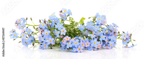 Forget-me-nots flowers, isolated on white