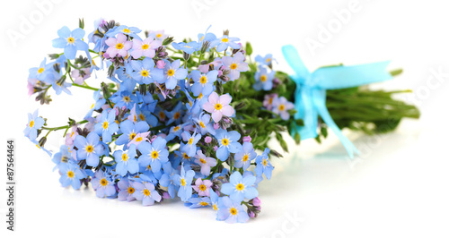 Forget-me-nots flowers, isolated on white
