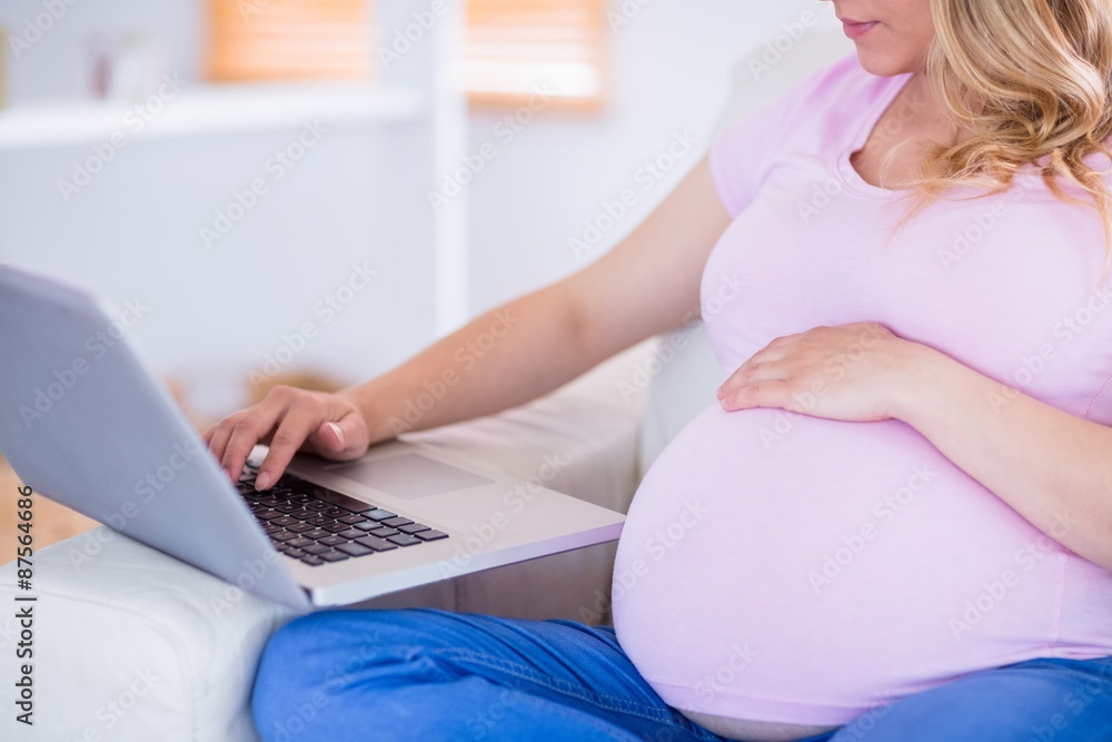 Naklejka premium Pregnant woman using her laptop