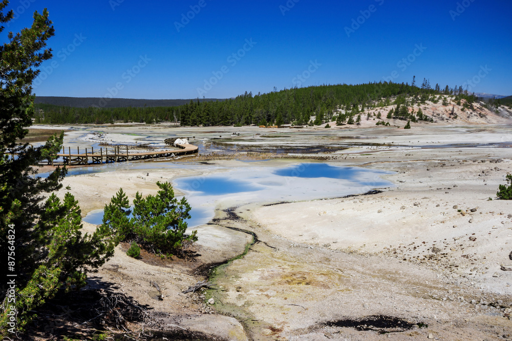 The Norris Geyser Basin in Yellowstone National Park USA