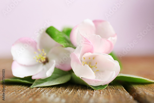 Apple blossom with leaves on wooden table © Africa Studio