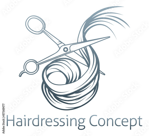 Hairdressers Scissors Cutting Hair