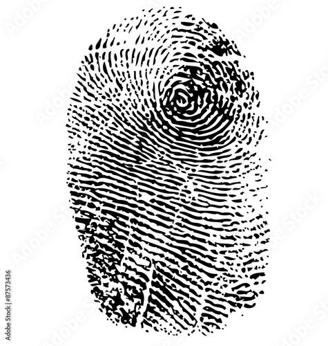 Fingerprint vector