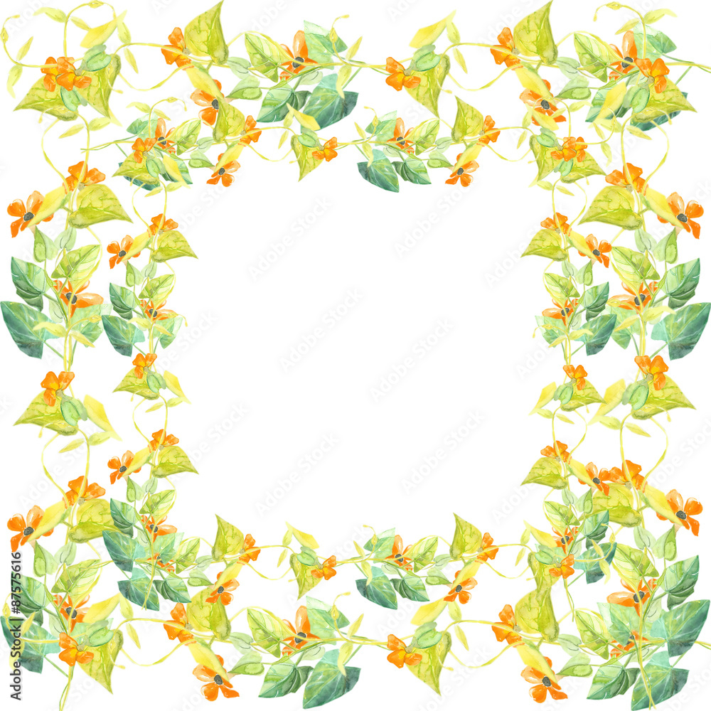 Obraz premium Black-eyed Susan Frame