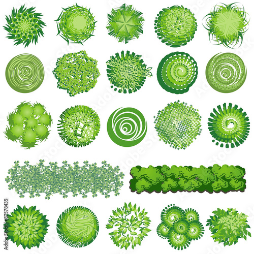 Trees and bush item top view for landscape design, vector icon.
