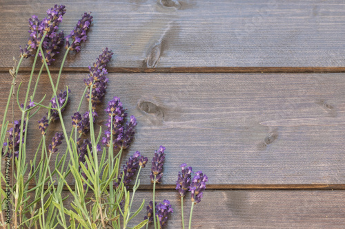 Fototapeta Naklejka Na Ścianę i Meble -  Lavender flowers rural