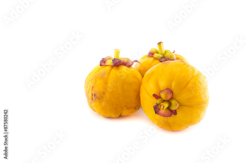 garcinia Cambogia isolated on white background photo