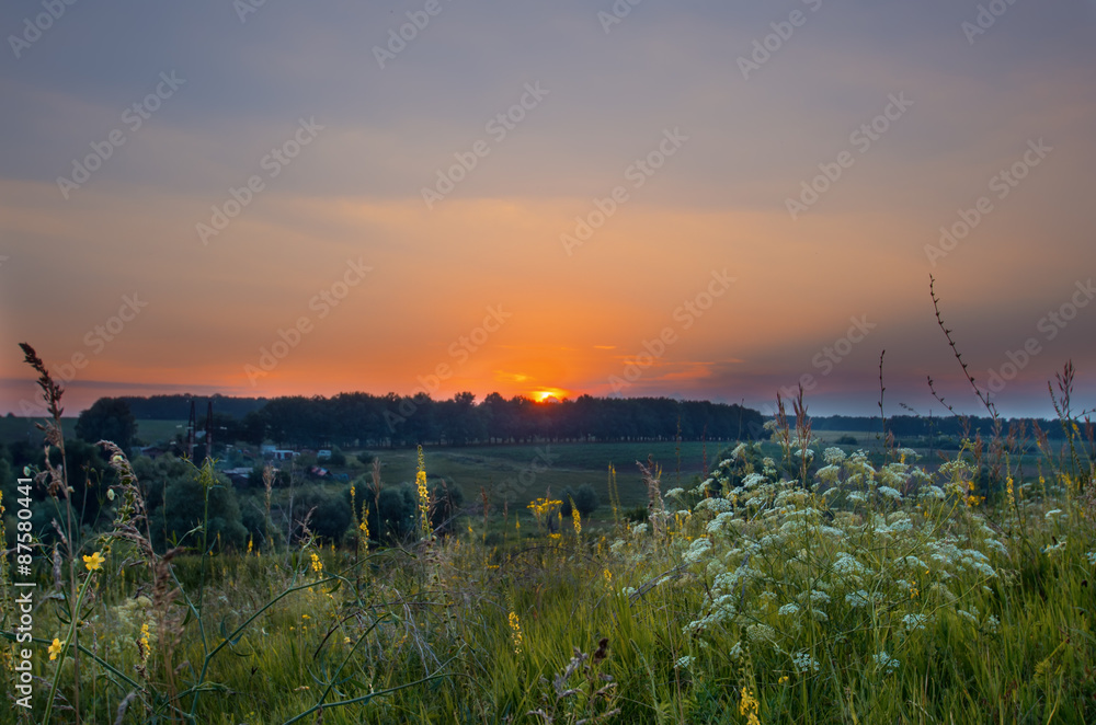 Sunset at rural landscape field