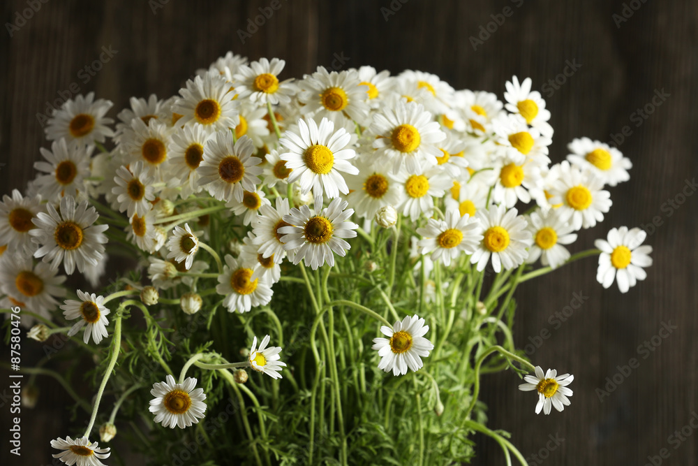 Fototapeta premium Beautiful bouquet of daisies close up