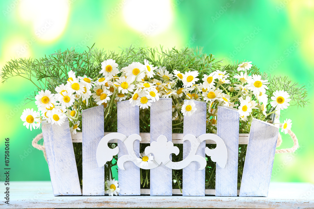Obraz premium Beautiful bouquet of daisies in ornamental flowerpot on bright background