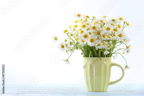 Fototapeta Naklejka Na Ścianę i Meble -  Beautiful bouquet of daisies in cup on light background