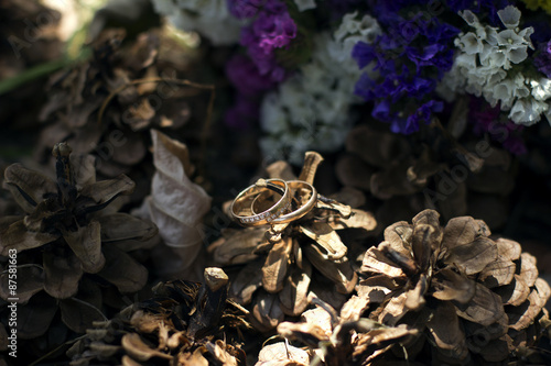 beautiful details of the wedding photography. crown of the bride, wedding rings