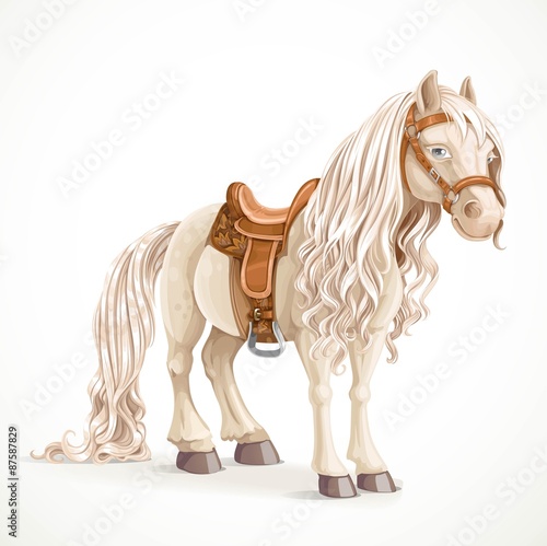 Cute saddled little pony horse isolated on a white background