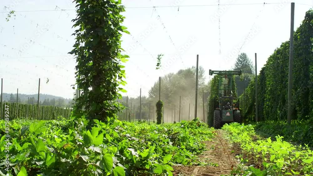 Tractor harvesting hops Stock Video | Adobe Stock