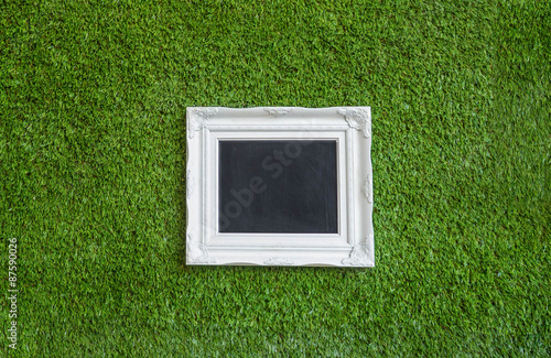 picture frame on green background