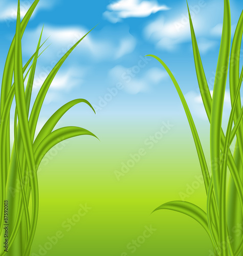 Nature background with green grass and sky